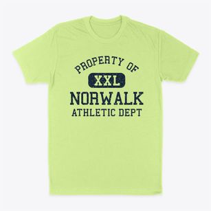 Norwalk California Athletic Dept Classic Dad T-Shirt