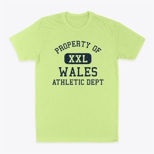 Wales Utah Athletic Dept Classic Dad T-Shirt
