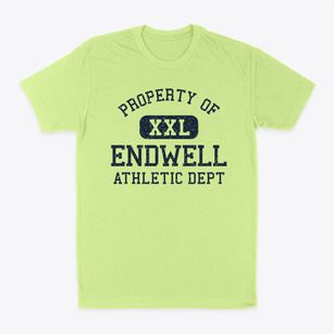 Endwell New York Athletic Dept Classic Dad T-Shirt