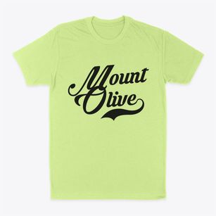 Mount Olive North Carolina Vintage Team Classic Dad T-Shirt