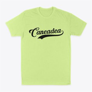Caneadea New York Vintage Team Classic Dad T-Shirt