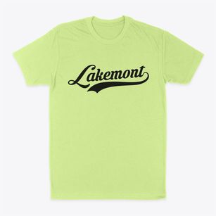 Lakemont Pennsylvania Vintage Team Classic Dad T-Shirt