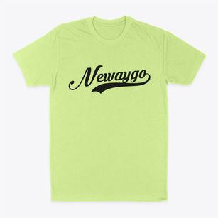 Newaygo Michigan Vintage Team Classic Dad T-Shirt