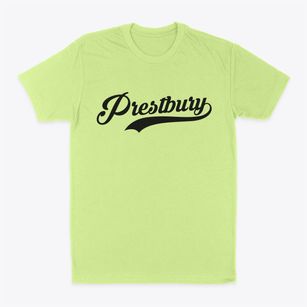 Prestbury Illinois Vintage Team Classic Dad T-Shirt