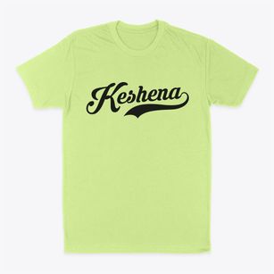 Keshena Wisconsin Vintage Team Classic Dad T-Shirt