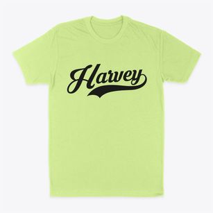 Harvey Illinois Vintage Team Classic Dad T-Shirt