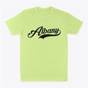 Albany Vermont Vintage Team Classic Dad T-Shirt
