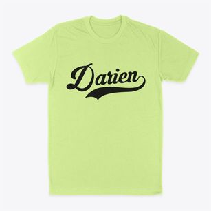 Darien Illinois Vintage Team Classic Dad T-Shirt