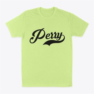 Perry Missouri Vintage Team Classic Dad T-Shirt