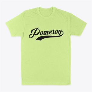 Pomeroy Iowa Vintage Team Classic Dad T-Shirt