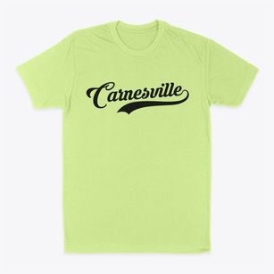 Carnesville Georgia Vintage Team Classic Dad T-Shirt
