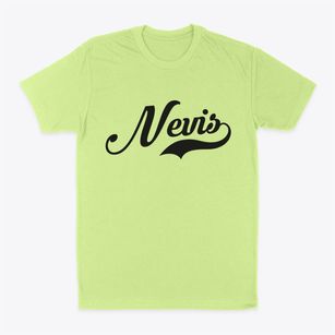 Nevis Minnesota Vintage Team Classic Dad T-Shirt
