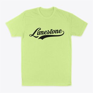 Limestone New York Vintage Team Classic Dad T-Shirt