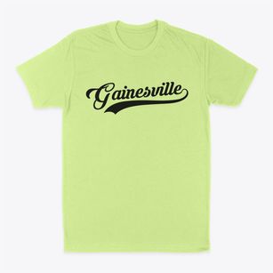 Gainesville Texas Vintage Team Classic Dad T-Shirt