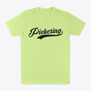 Pickering Missouri Vintage Team Classic Dad T-Shirt