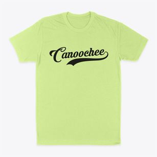 Canoochee Georgia Vintage Team Classic Dad T-Shirt