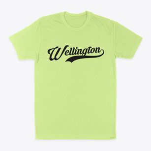 Wellington Colorado Vintage Team Classic Dad T-Shirt