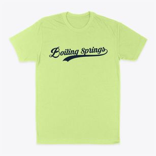 Boiling Springs North Carolina Vintage Team Classic Dad T-Shirt