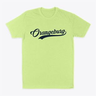 Orangeburg New York Vintage Team Classic Dad T-Shirt