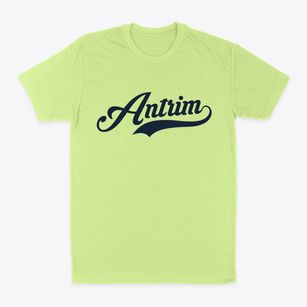 Antrim New Hampshire Vintage Team Classic Dad T-Shirt