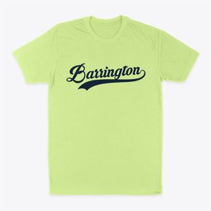 Barrington New York Vintage Team Classic Dad T-Shirt