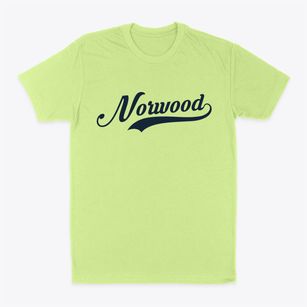 Norwood New York Vintage Team Classic Dad T-Shirt