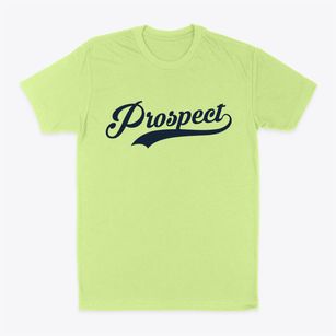 Prospect Pennsylvania Vintage Team Classic Dad T-Shirt