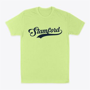 Stamford Connecticut Vintage Team Classic Dad T-Shirt
