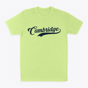 Cambridge Maine Vintage Team Classic Dad T-Shirt