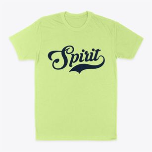 Spirit Wisconsin Vintage Team Classic Dad T-Shirt
