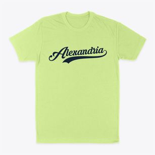 Alexandria Nebraska Vintage Team Classic Dad T-Shirt