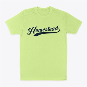Homestead New Mexico Vintage Team Classic Dad T-Shirt
