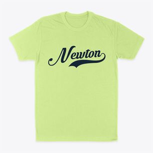 Newton North Carolina Vintage Team Classic Dad T-Shirt