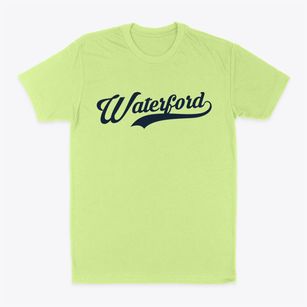Waterford New York Vintage Team Classic Dad T-Shirt