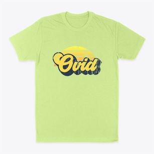 Ovid New York Sublime Sunset Classic Dad T-Shirt