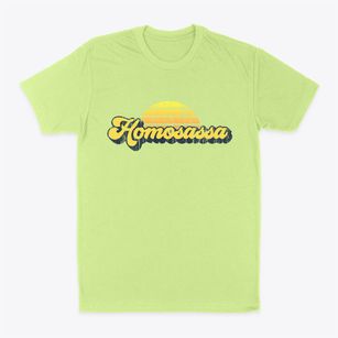 Homosassa Florida Sublime Sunset Classic Dad T-Shirt