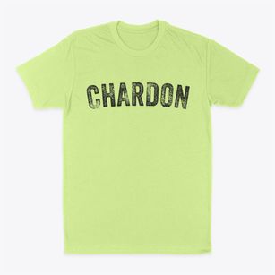 Chardon Ohio Timeless Retro Classic Dad T-Shirt