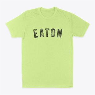 Eaton New York Timeless Retro Classic Dad T-Shirt