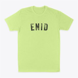 Enid Oklahoma Timeless Retro Classic Dad T-Shirt