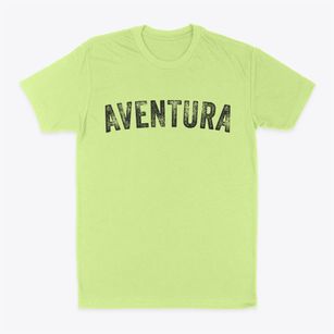 Aventura Florida Timeless Retro Classic Dad T-Shirt