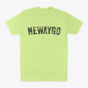 Newaygo Michigan Timeless Retro Classic Dad T-Shirt