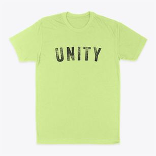 Unity New Hampshire Timeless Retro Classic Dad T-Shirt