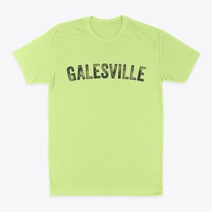 Galesville Wisconsin Timeless Retro Classic Dad T-Shirt
