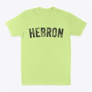 Hebron Nebraska Timeless Retro Classic Dad T-Shirt