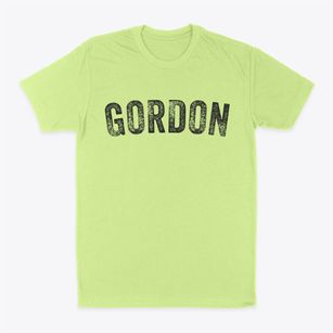 Gordon Nebraska Timeless Retro Classic Dad T-Shirt