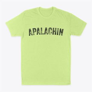 Apalachin New York Timeless Retro Classic Dad T-Shirt