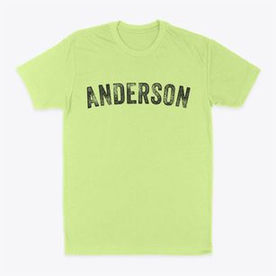Anderson South Carolina Timeless Retro Classic Dad T-Shirt