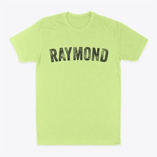 Raymond Minnesota Timeless Retro Classic Dad T-Shirt