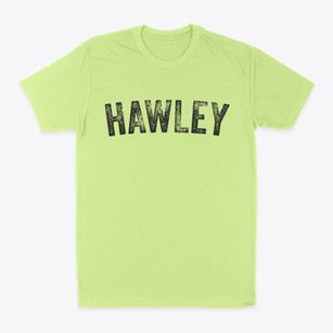 Hawley Texas Timeless Retro Classic Dad T-Shirt