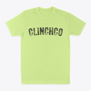 Clinchco Virginia Timeless Retro Classic Dad T-Shirt